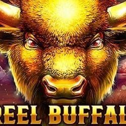 1 Reel Buffalo thumbnail